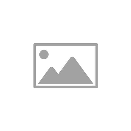 model output